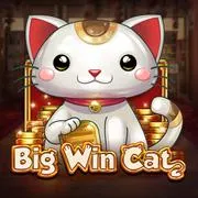 Big Win Cat